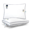 Queen Size Set of 2 Bed Pillows H191692