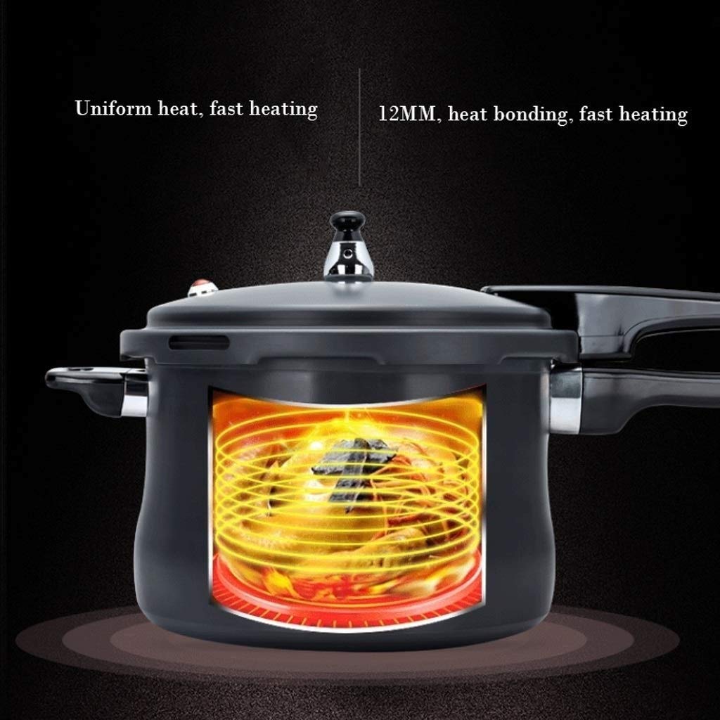 Stainless Steel Dishwasher Safe Cadmium Free Pressure Cooker Black 3L U481