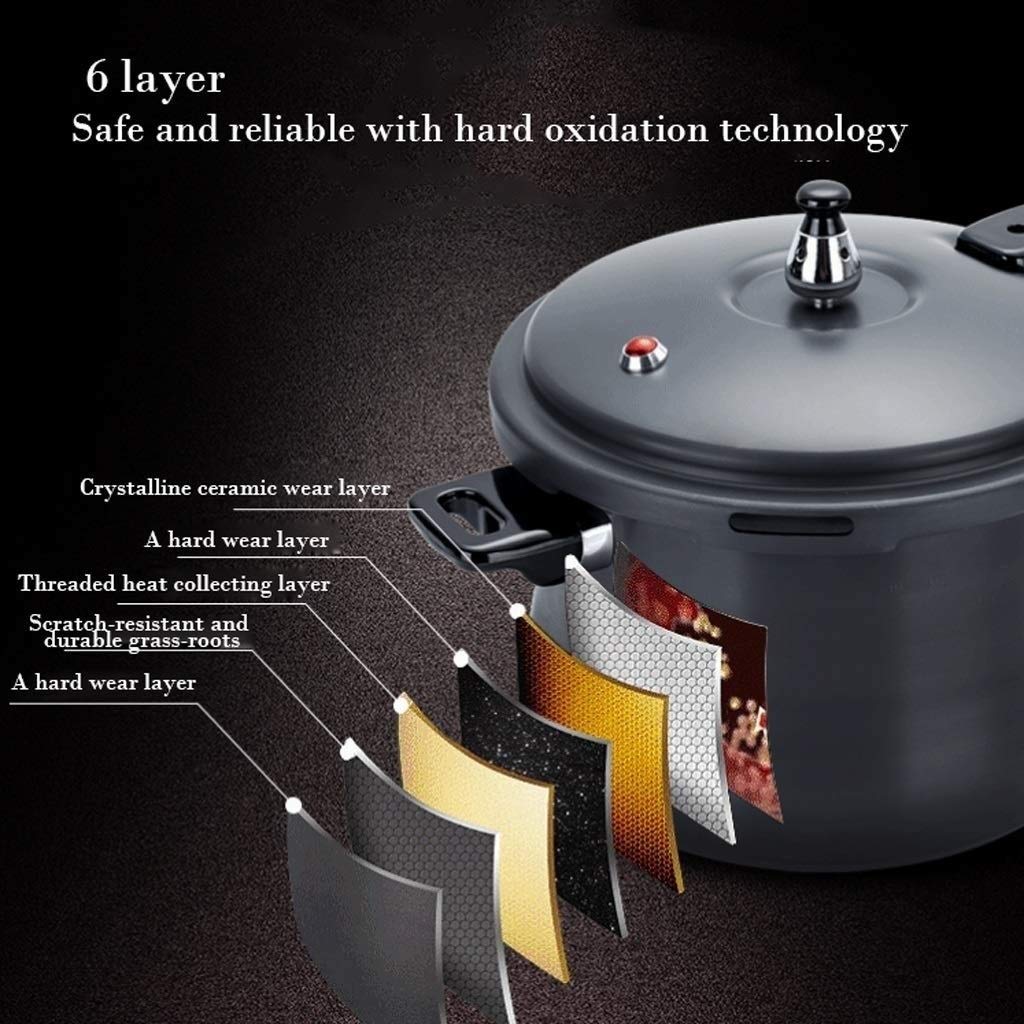 Stainless Steel Dishwasher Safe Cadmium Free Pressure Cooker Black 3L U481