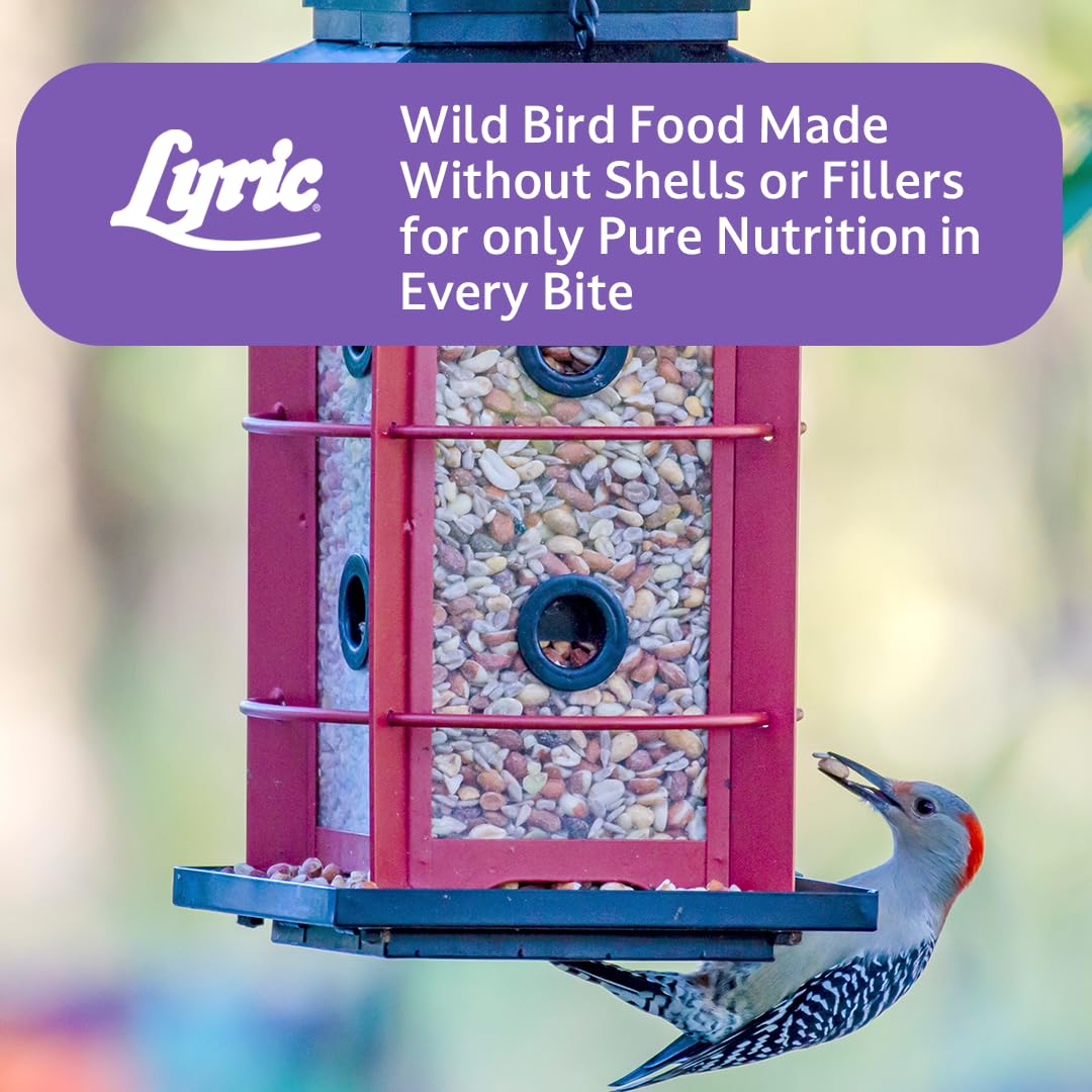 Wild Bird Seed, 20 lb Bag A2506