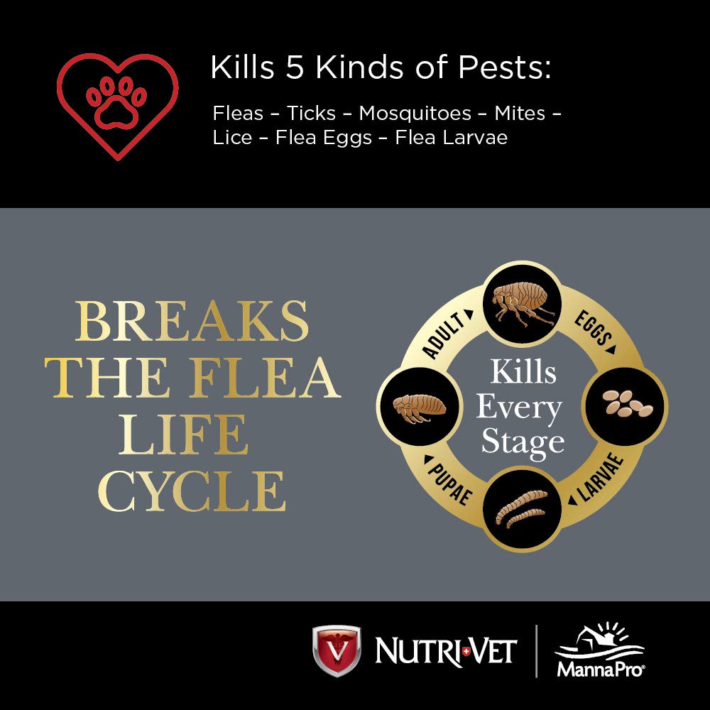 Flea & Tick Control for Puppies H79386