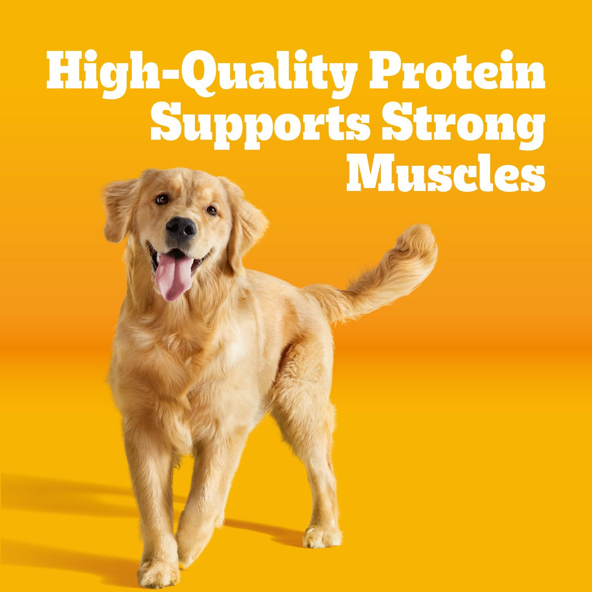 Adult Complete Nutrition Dry Dog Food Steak & Vegetable 18 lb M630