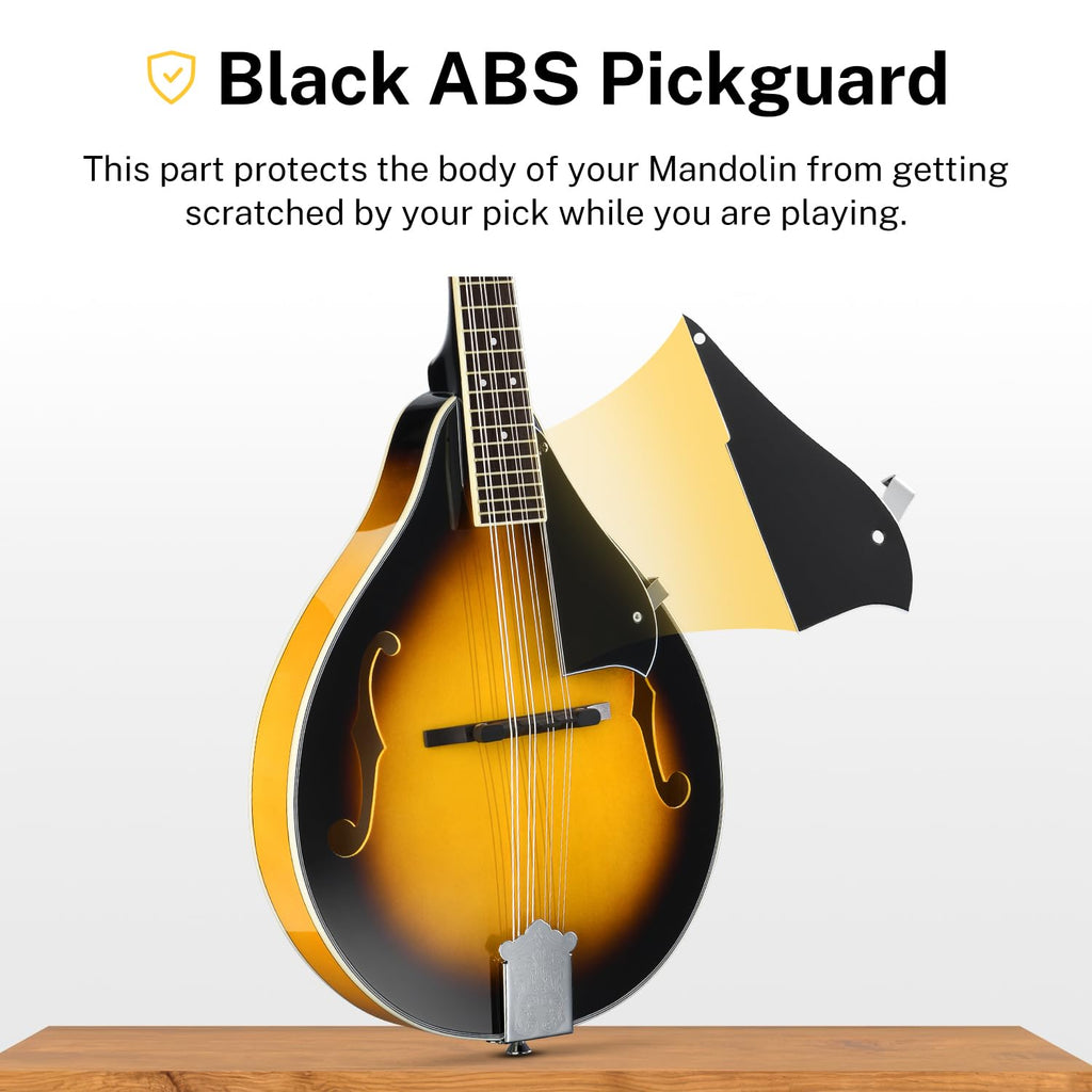 Sunburst Mahogany 8 String Acoustic Mandolin T459889