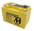 Sealed AGM Motorcycle Battery B38952