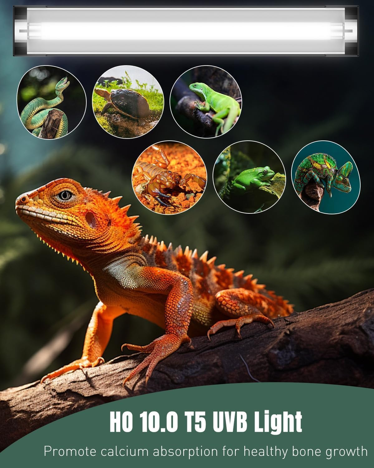 T5 Reptile Light Combo Kit with 2 UVB Tubes, 10.0 UVB Light Fixture, 12 inch K5058