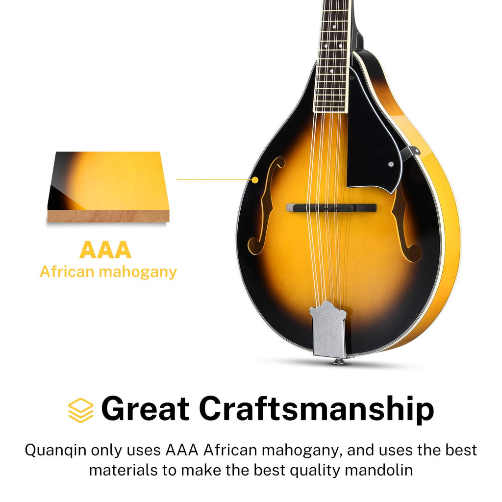 Sunburst Mahogany 8 String Acoustic Mandolin T459889