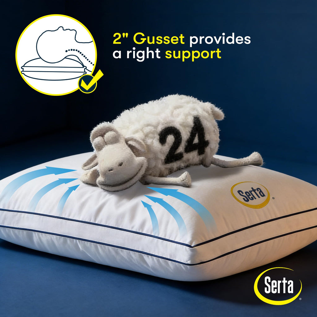 Queen Size Set of 2 Bed Pillows H191692