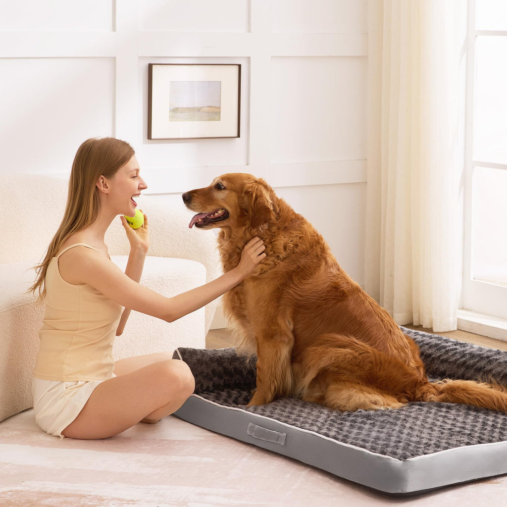 XL Orthopedic Dog Bed Grey I58414
