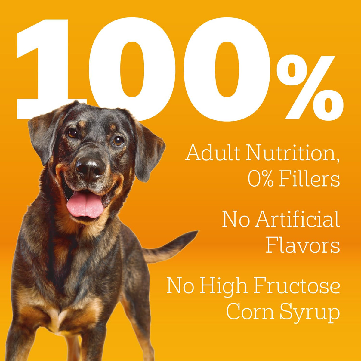 Adult Complete Nutrition Dry Dog Food Steak & Vegetable 18 lb M630