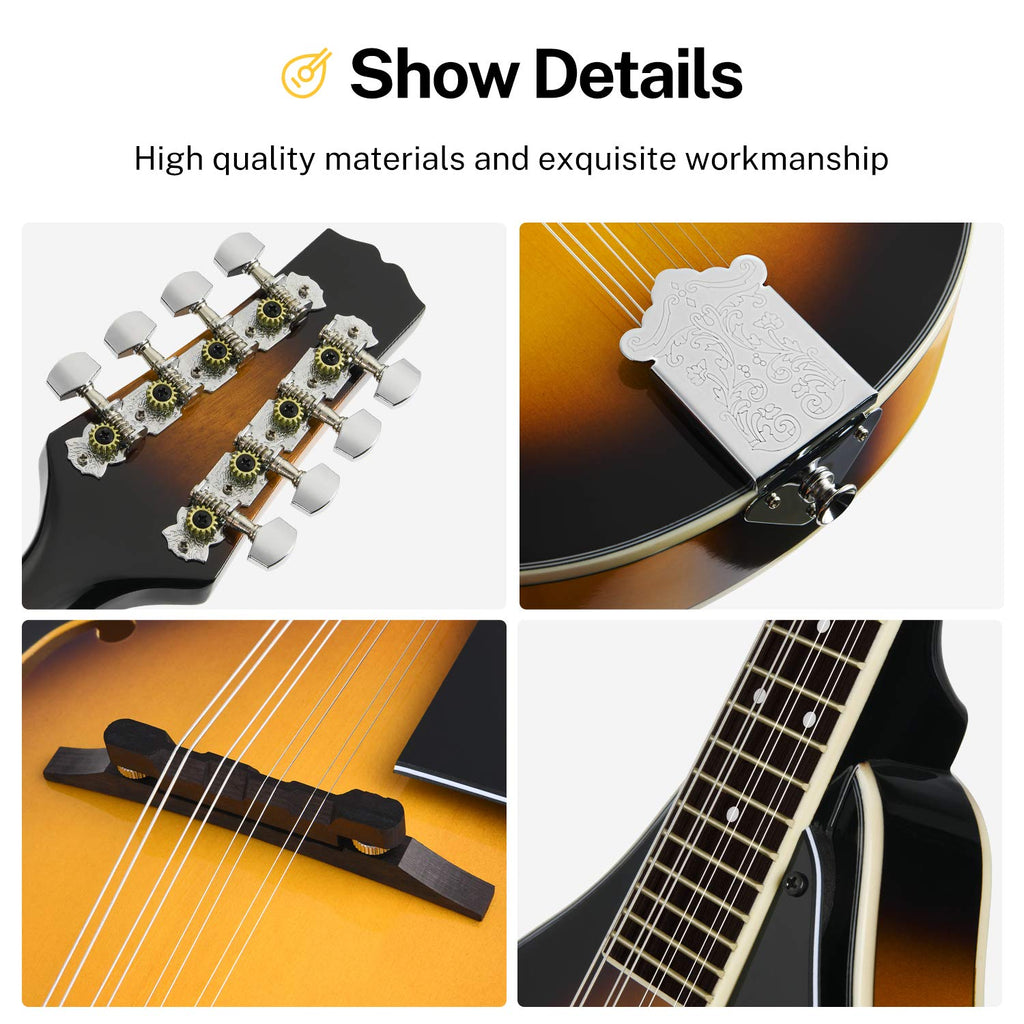 Sunburst Mahogany 8 String Acoustic Mandolin T459889