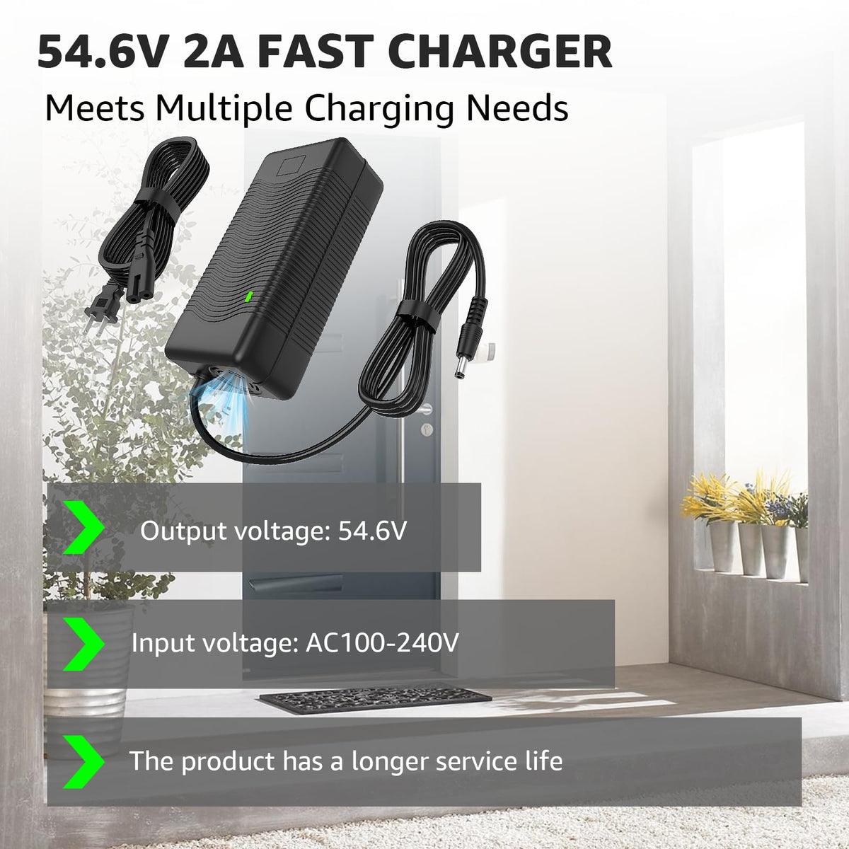 54.6V 2A Electric Bike Charger D332