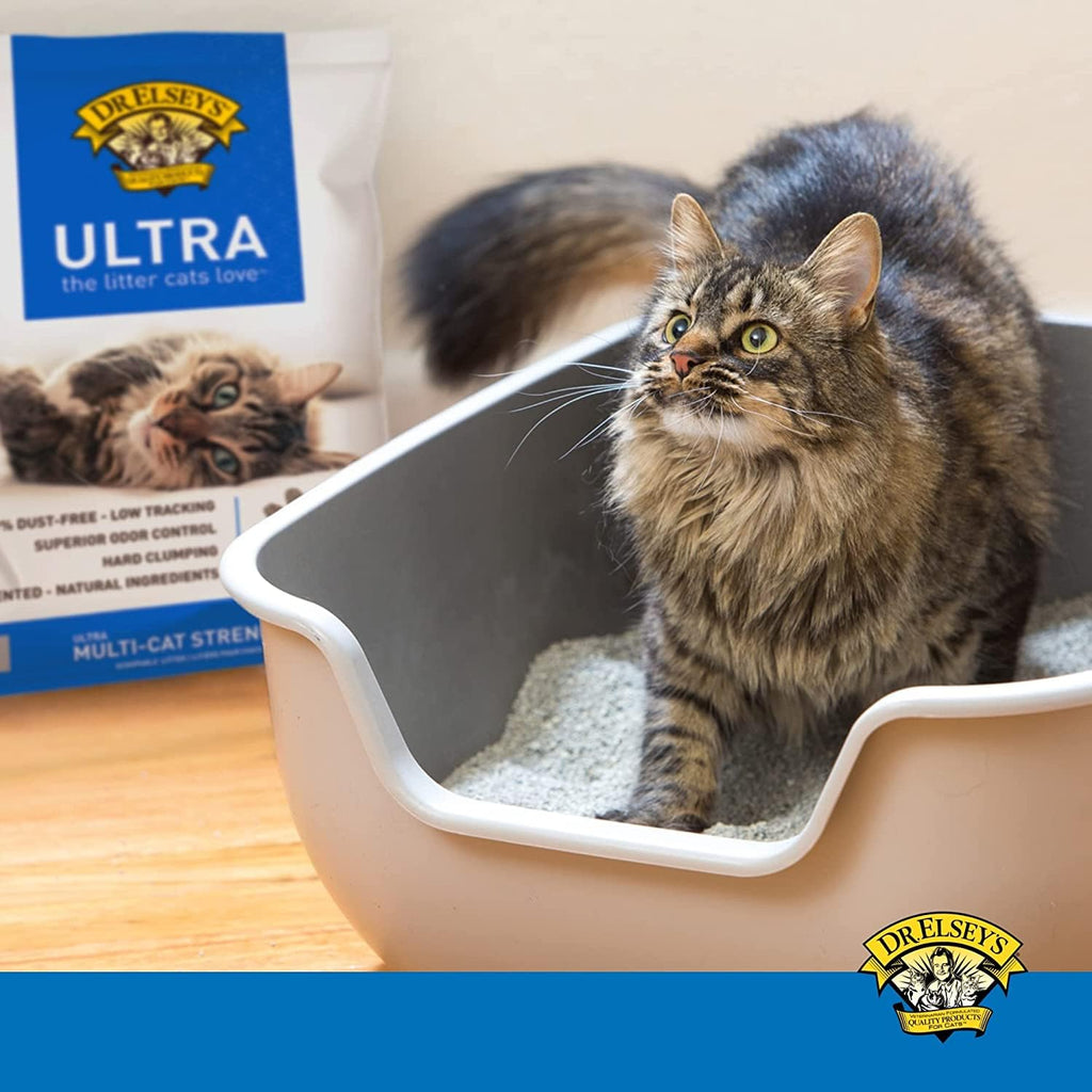 Clumping Clay Cat Litter 40 lb. Bag X2930