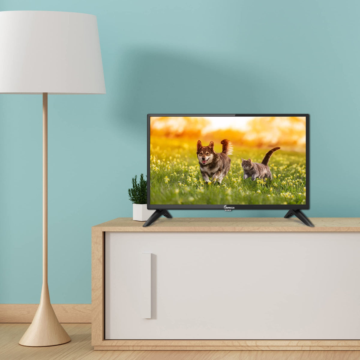 24 inch HD 720p LED TV V110