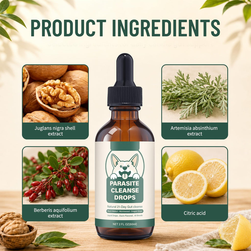 Herbal Probiotic Drops 60 ML O3020