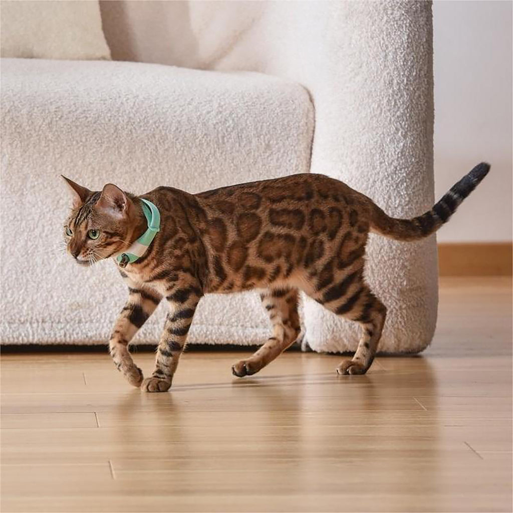 Rechargeable Laser Cat Toy Collar O34167