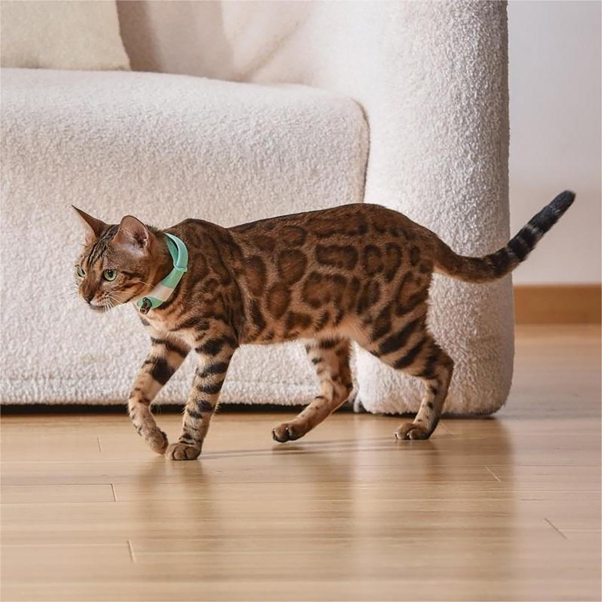 Rechargeable Laser Cat Toy Collar O34167