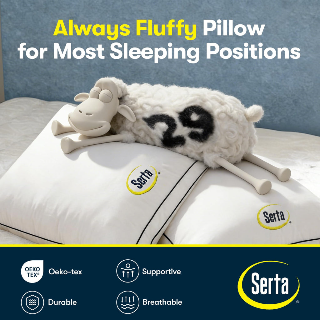 Queen Size Set of 2 Bed Pillows H191692