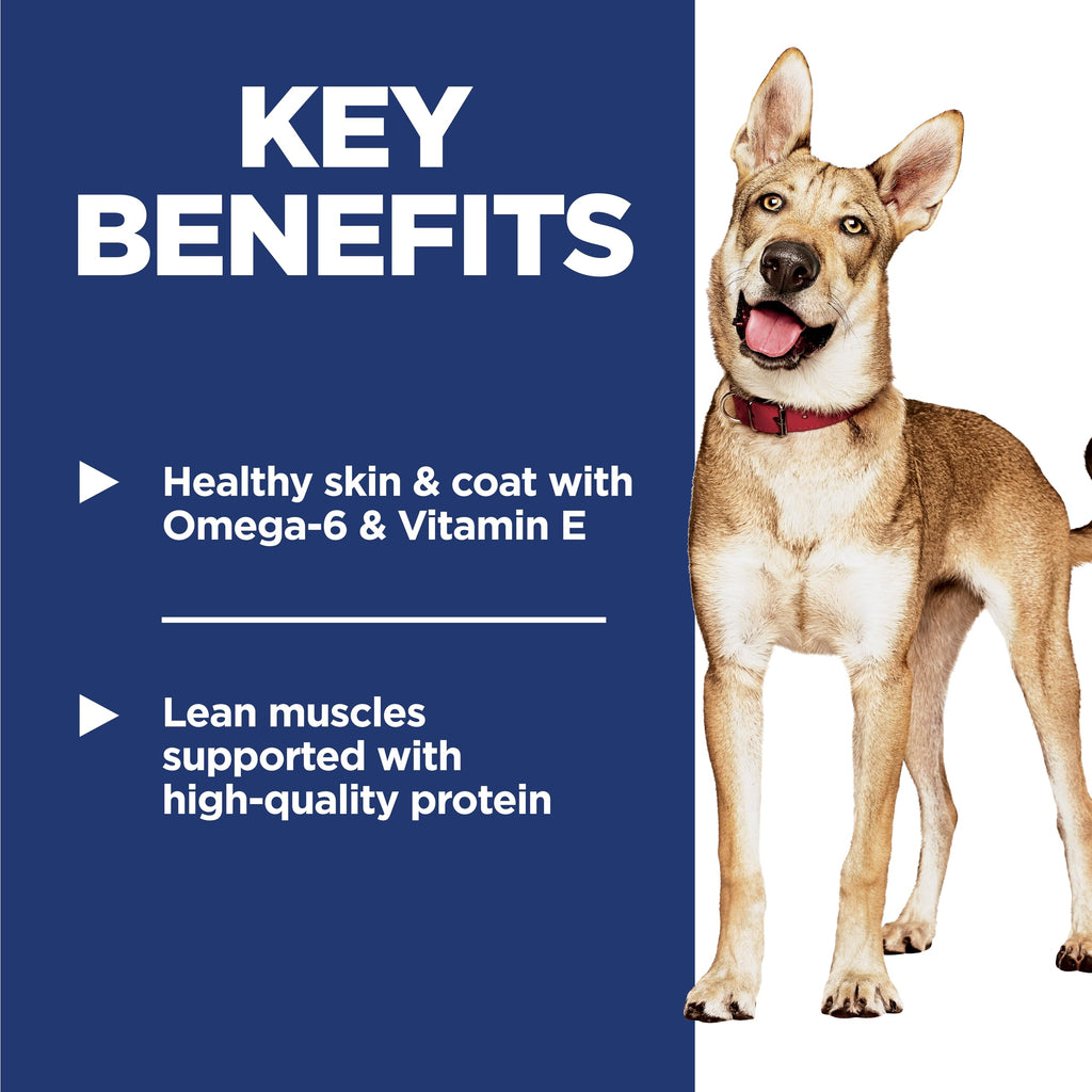 Dry Dog Food X706