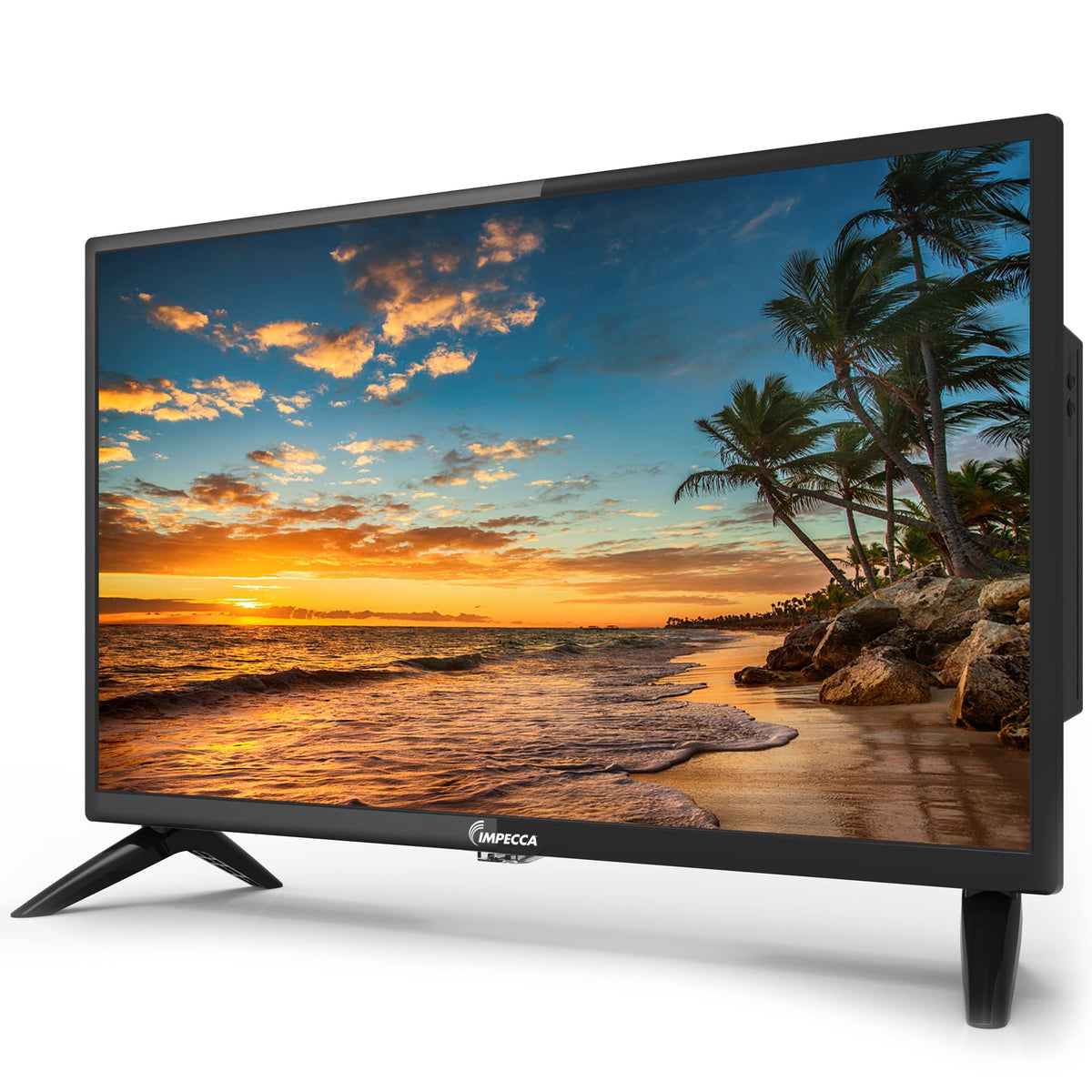 24 inch HD 720p LED TV V110