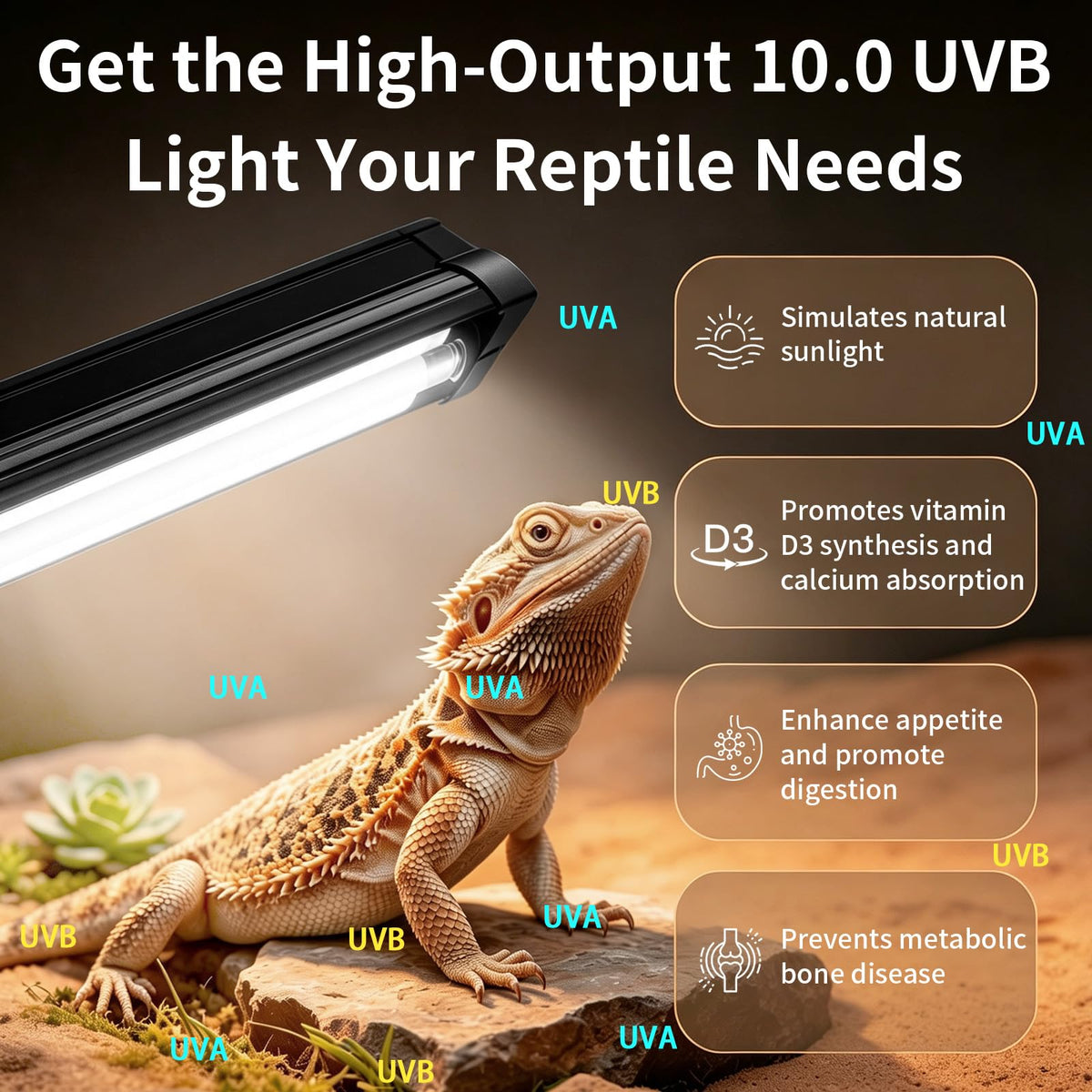 8W UVB Reptile Light Fixture Combo Kit with Timer V3381