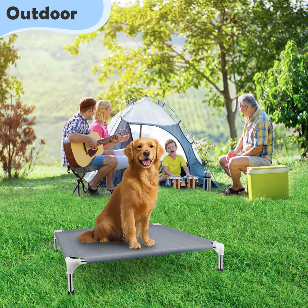 Elevated Raised Dog Bed O58435