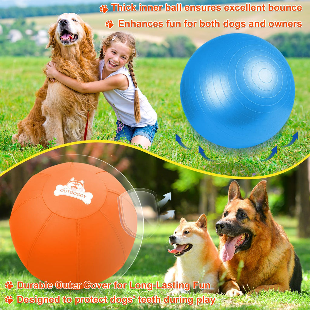18'' Herding Ball for Dogs A6919