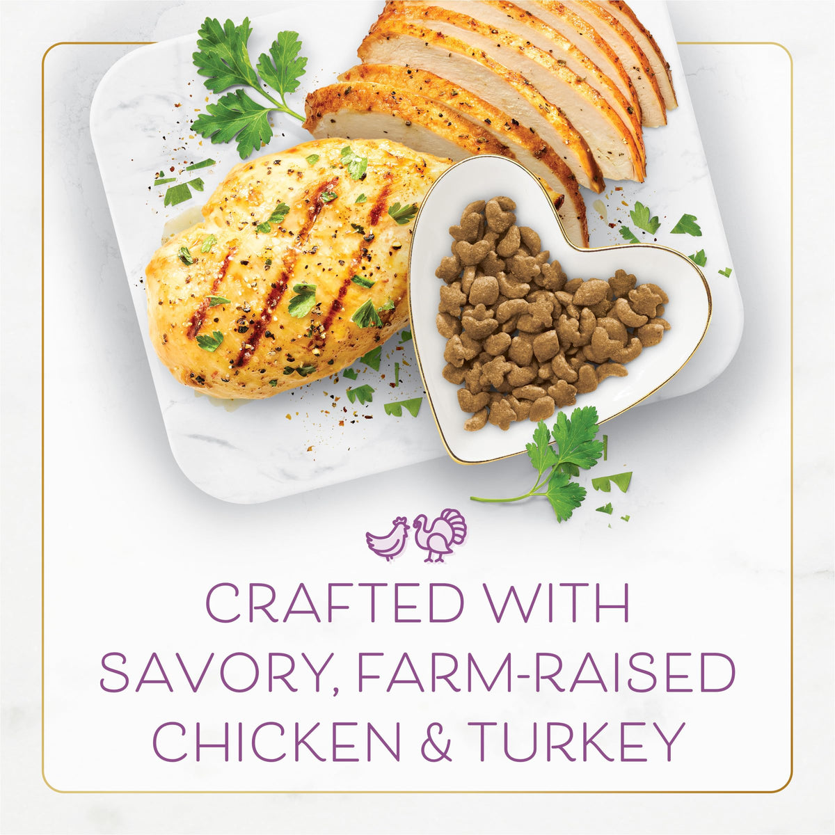 Chicken & Turkey Dry Cat Food 3lb Bag T2549