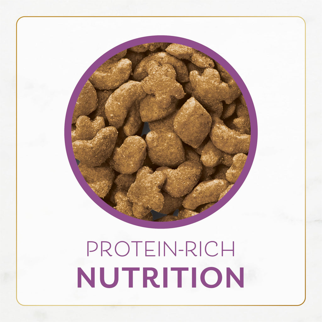 Chicken & Turkey Dry Cat Food 3lb Bag T2549