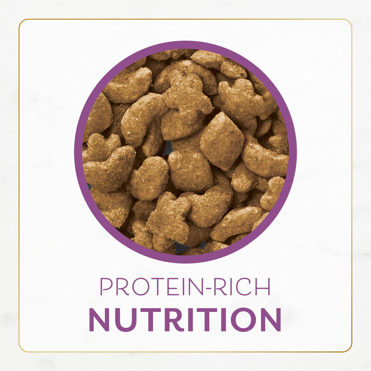 Chicken & Turkey Dry Cat Food 3lb Bag T2549