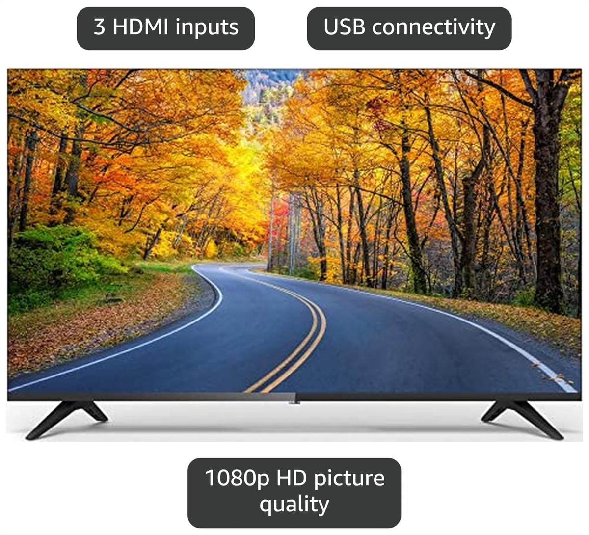 24 inch HD 720p LED TV V110