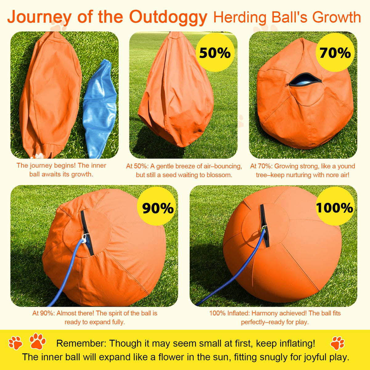 18'' Herding Ball for Dogs A6919