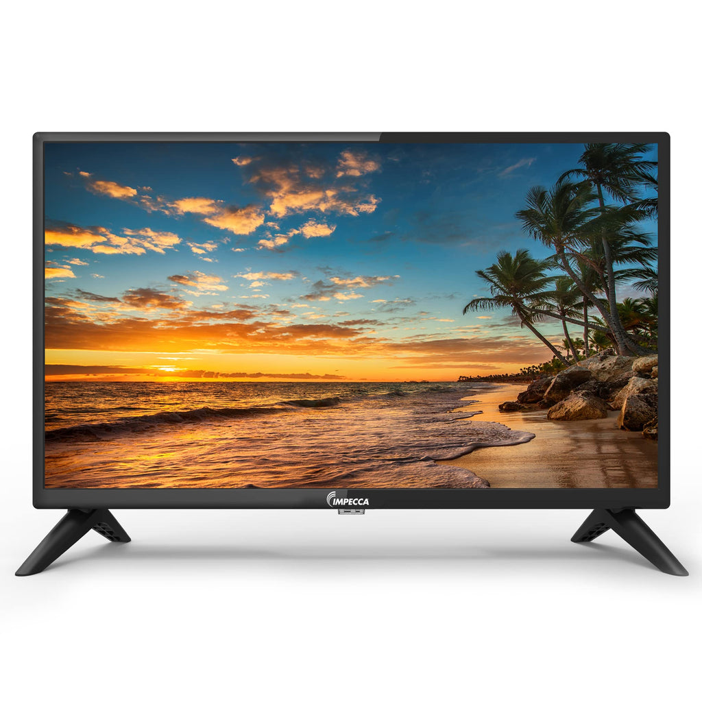 24 inch HD 720p LED TV V110